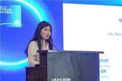 美乐家公共关系总监王婷：以“绿色