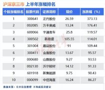 A股上半年牛熊股盘点：正丹股份成为